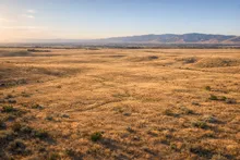 Stage 1 — Raw Land